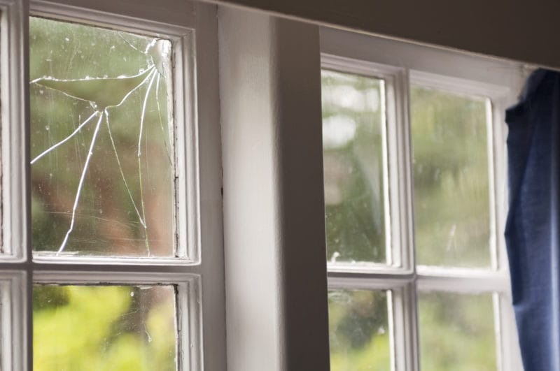 edmonton window company